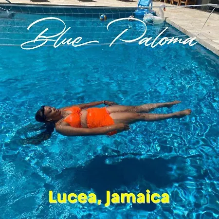 Blue Paloma Bed & Breakfast Lucea Exterior photo